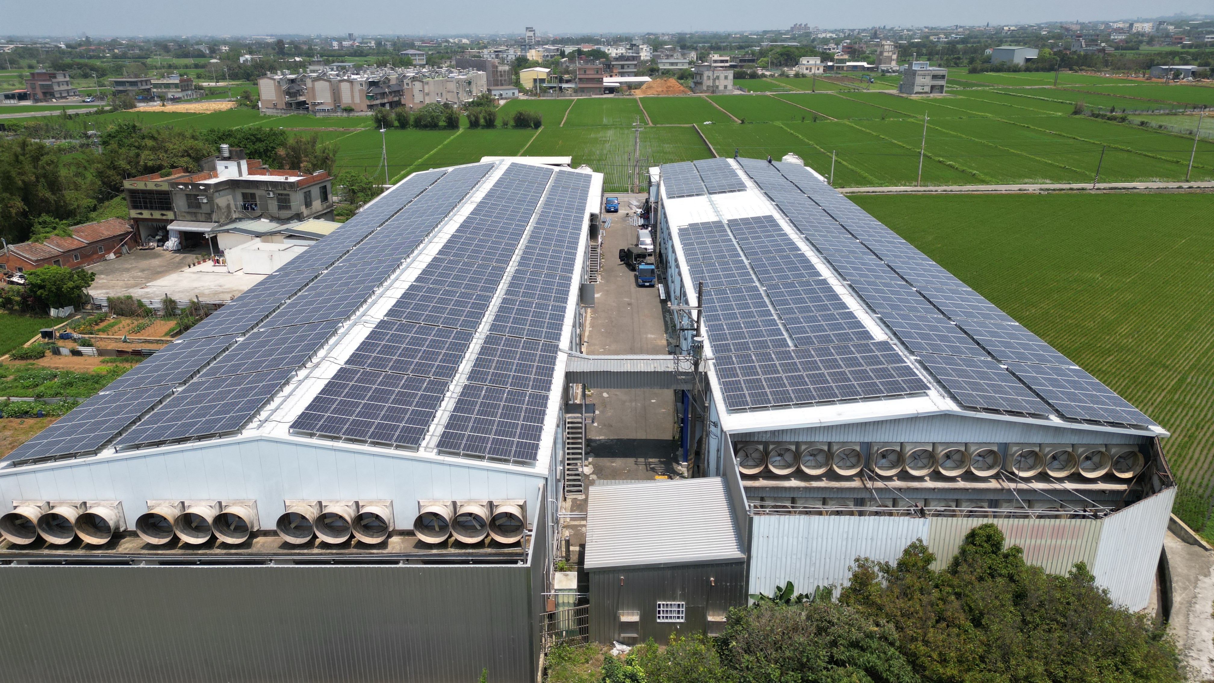 八芳元農牧場畜舍屋頂太陽能建置，降溫舒適並創造售電收益